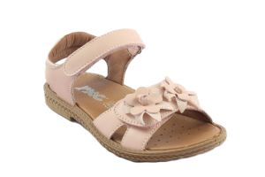 IC/330730 ROSA