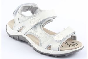 WD/SINGHA WHITE