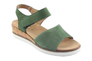 AO/13067 GREEN